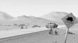 Matte painting for Iggy Short Film