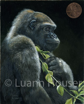 Serenity-Lowlands Gorilla