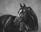 Oil Painting Equine Artist of Thoroughbred Mare