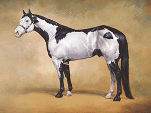 Oil Painting of Sonny Dee Max