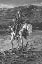 Oil Painting of Native American Warrior on horse, Path of the Spirit Bear