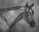 Oil Portrait of Tuffers